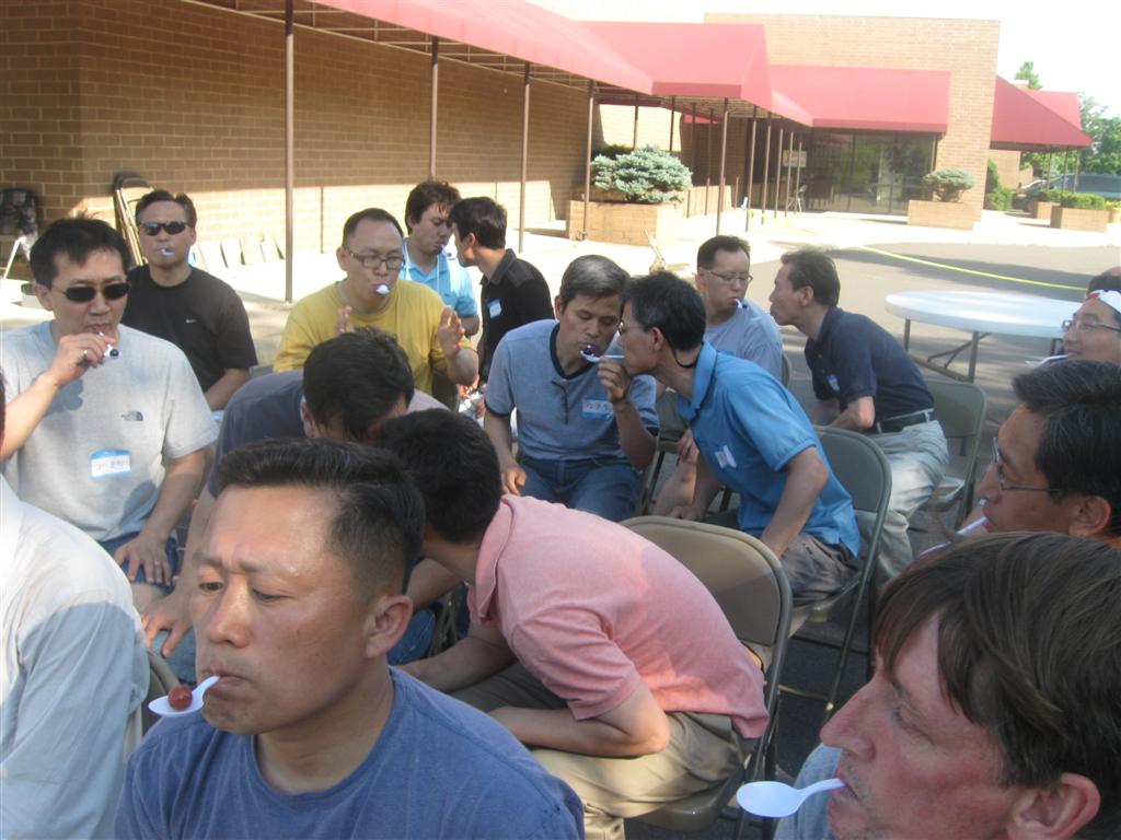 IMG_1490 (Large).jpg